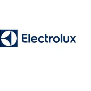Запчасти к газовым колонкам ELECTROLUX&ZANUSSI